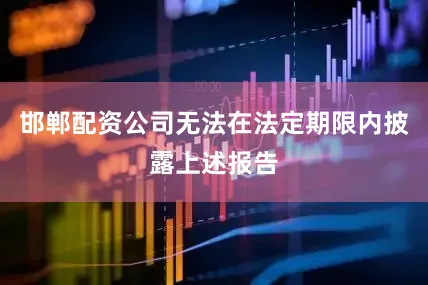 邯郸配资公司无法在法定期限内披露上述报告